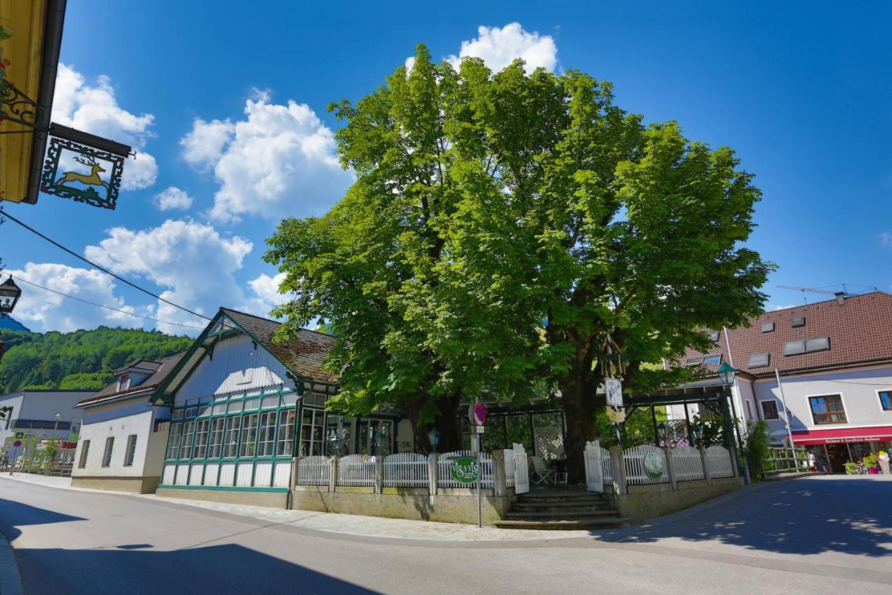 Apartment Welser Ybbsitz 外观 照片