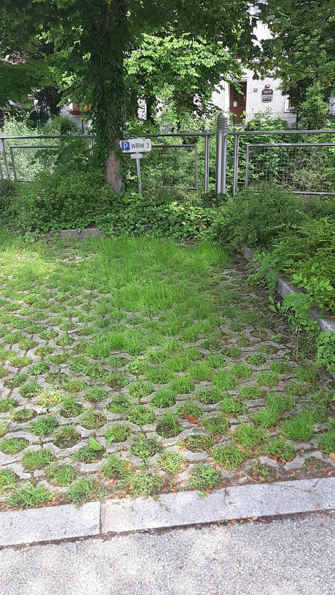 Apartment Welser Ybbsitz 外观 照片